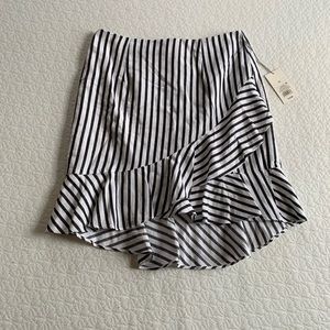 Target skirt, A New Day